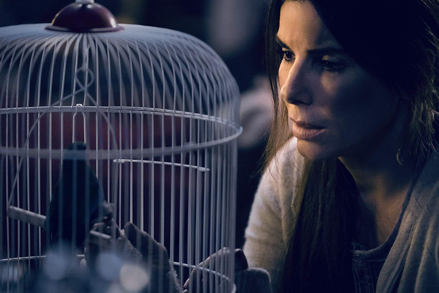 A mensagem escondida em "Bird Box" por Ana Basto