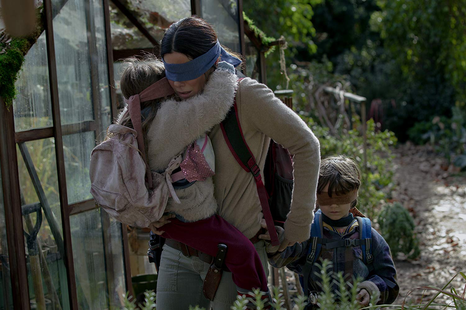A mensagem escondida em "Bird Box" por Ana Basto