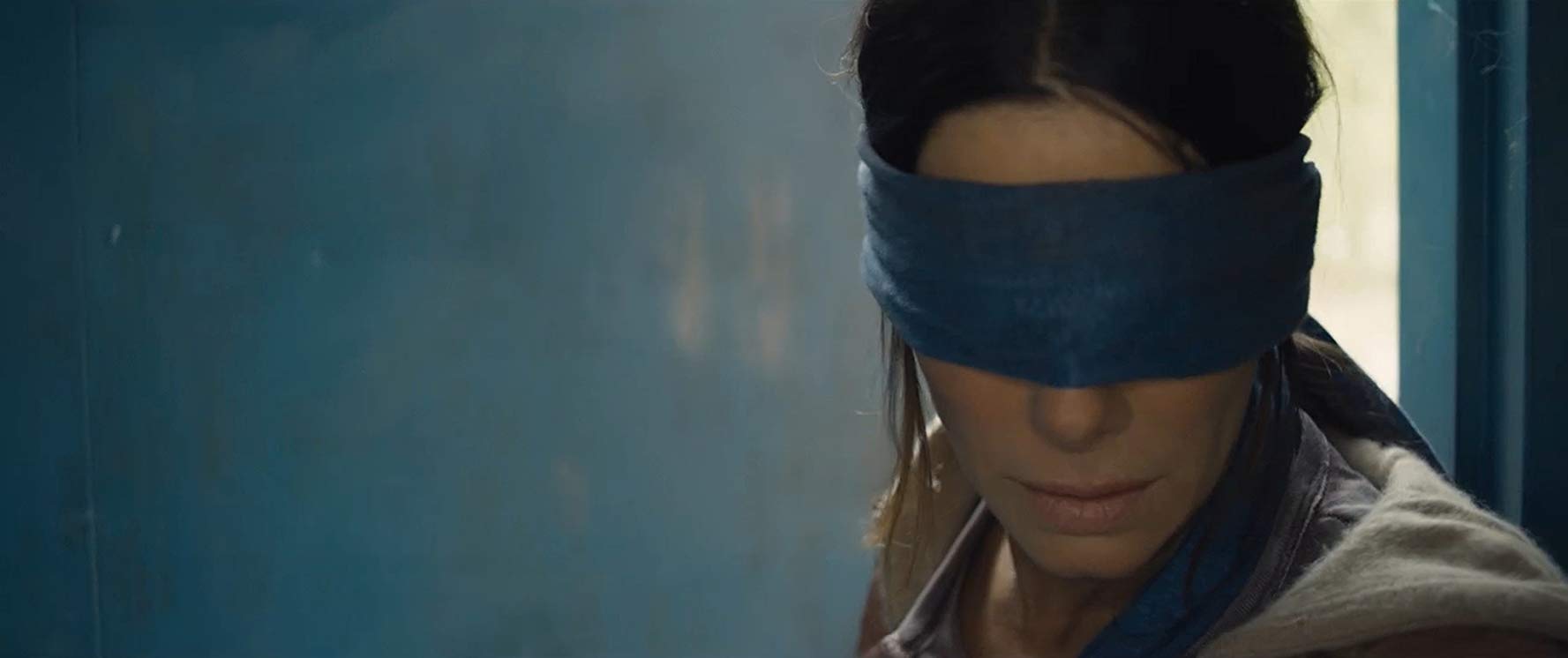 A mensagem escondida em "Bird Box" por Ana Basto