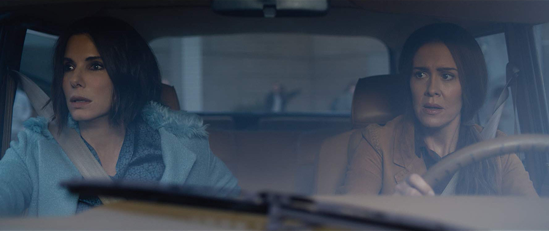 A mensagem escondida em "Bird Box" por Ana Basto