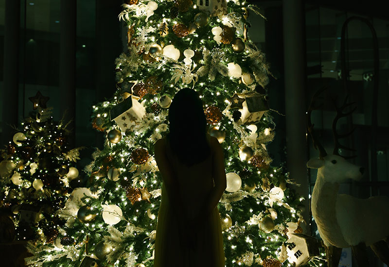 Clínica Dra. Rosa Basto - Psicologia e Hipnoterapia | O Natal quando alguém já não está